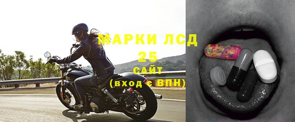 гашик Арсеньев
