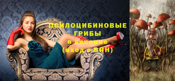 круглые Армянск