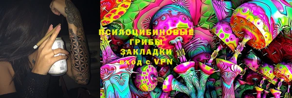 гашик Арсеньев