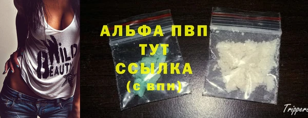 гашик Арсеньев